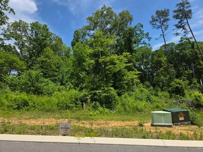Riceville, TN 37370,132 County Road 155