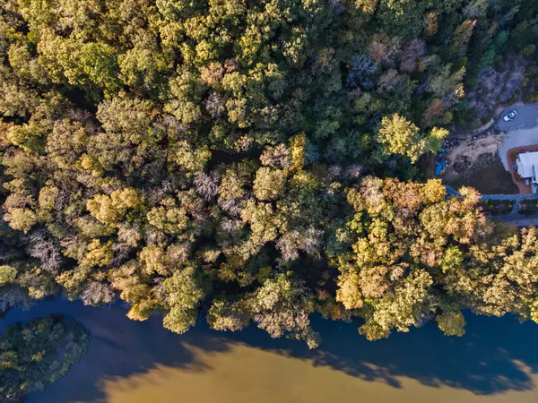 Charlotte, TN 37036,0 Cheshire Rd