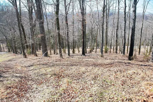 Smithville, TN 37166,220 Wilson Circle