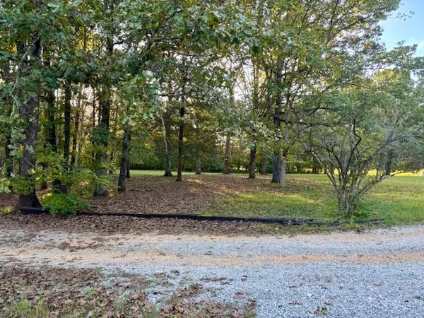 Spring Hill, TN 37174,4382 Joe Peay Cemetery Rd