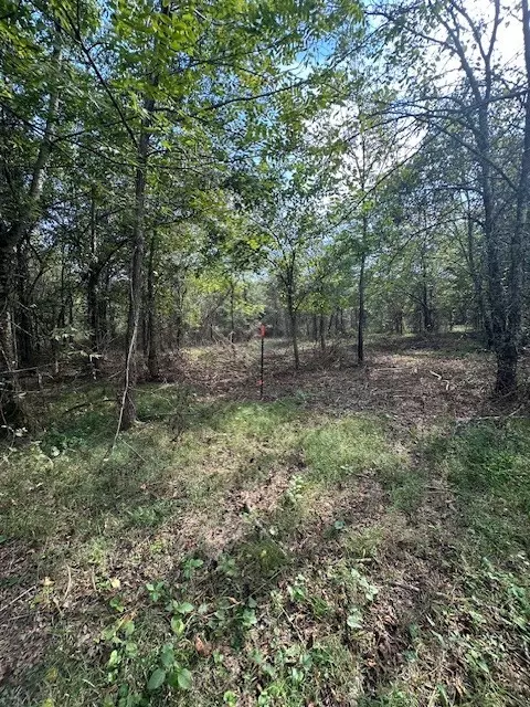 Christiana, TN 37037,8919 Carlton Rd