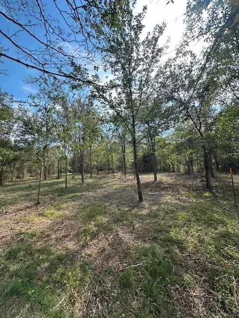 Christiana, TN 37037,8919 Carlton Rd