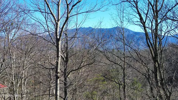 Gatlinburg, TN 37738,0 Cove