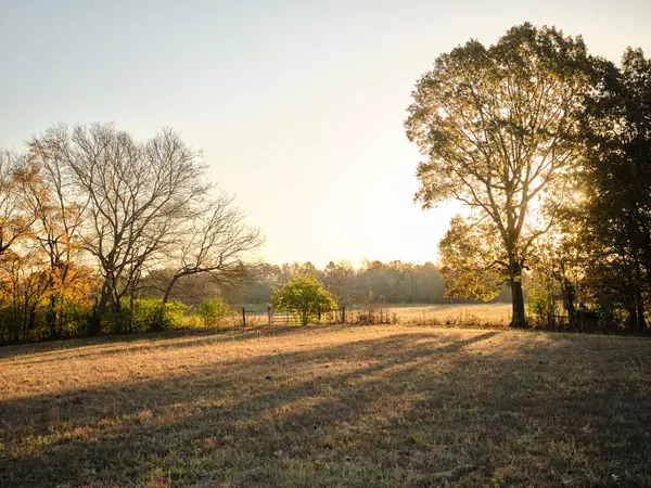 Fairview, TN 37062,7725 Caney Fork Rd