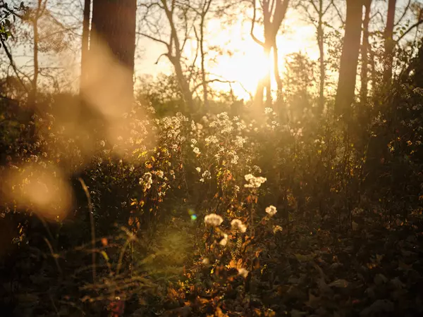 Fairview, TN 37062,7725 Caney Fork Rd