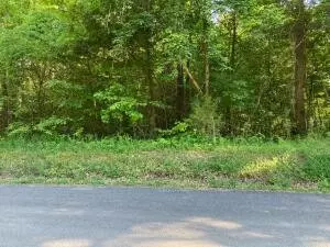 0 Horner Hollow Road, Birchwood, TN 37308