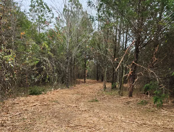 Franklin, TN 37064,4230 Peytonsville Trinity Rd