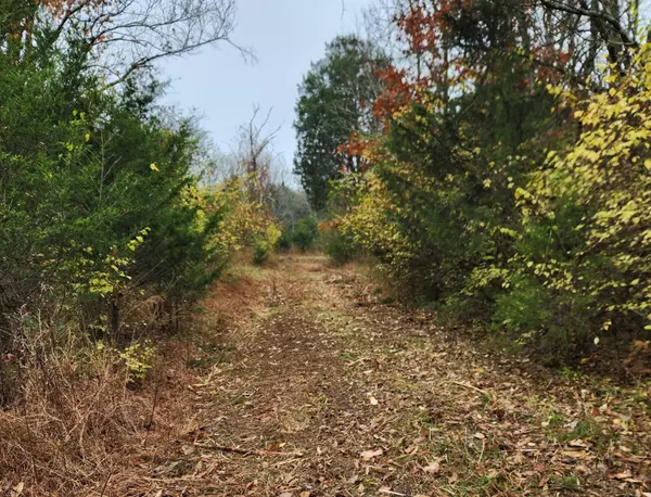 Franklin, TN 37064,4230 Peytonsville Trinity Rd