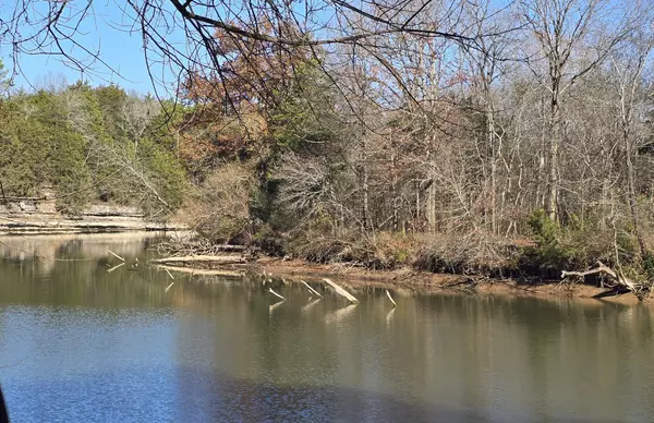 Smyrna, TN 37167,610 Virginia Belle Dr