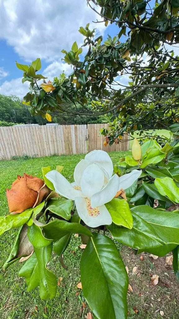 Ringgold, GA 30736,19 Laura Lane