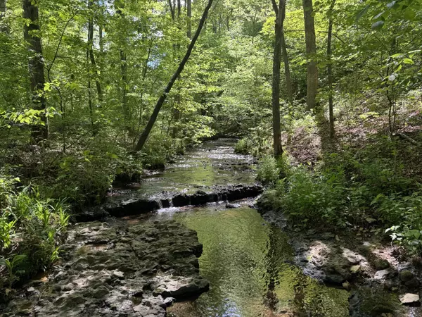 283 Dyestone Springs Road, Hohenwald, TN 38462
