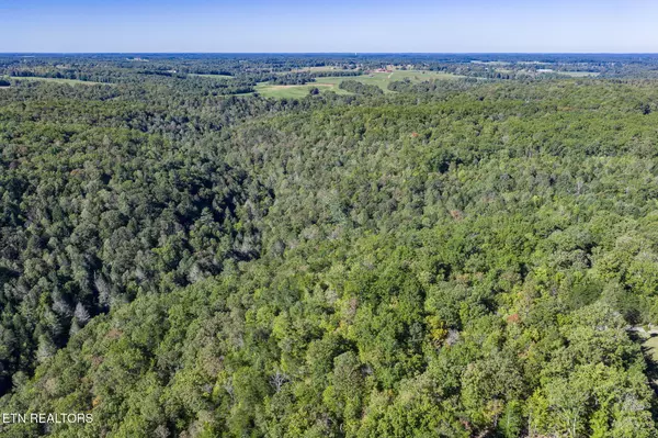 Jamestown, TN 38556,1153 Chris Lane