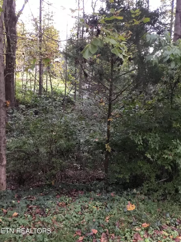 Clinton, TN 37716,0 Timbercrest Drive