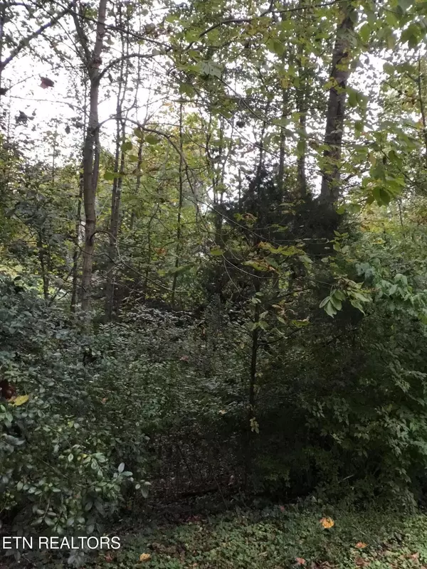 Clinton, TN 37716,0 Timbercrest Drive