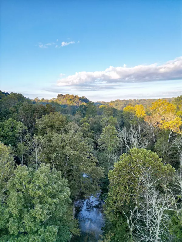 Burns, TN 37029,0 Cathey Hollow Road