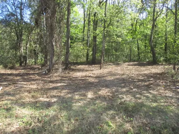Bethpage, TN 37022,0 Reese Road