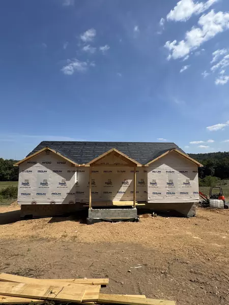 476 Buckeye Road, Erin, TN 37061