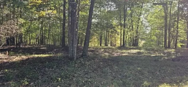 Dunlap, TN 37327,515 Wilderness Way