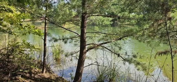 Dunlap, TN 37327,515 Wilderness Way