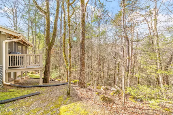 Townsend, TN 37882,151 Sequoyah Village Rd