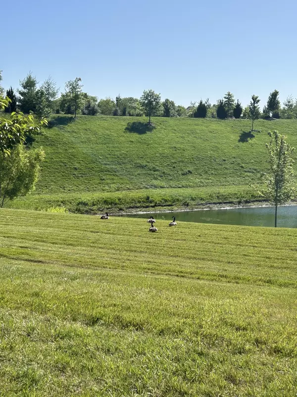 Spring Hill, TN 37174,1331 Madison Ln