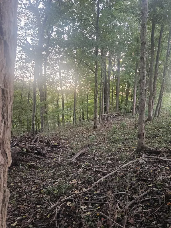 Cross Plains, TN 37049,200 S Cedar St