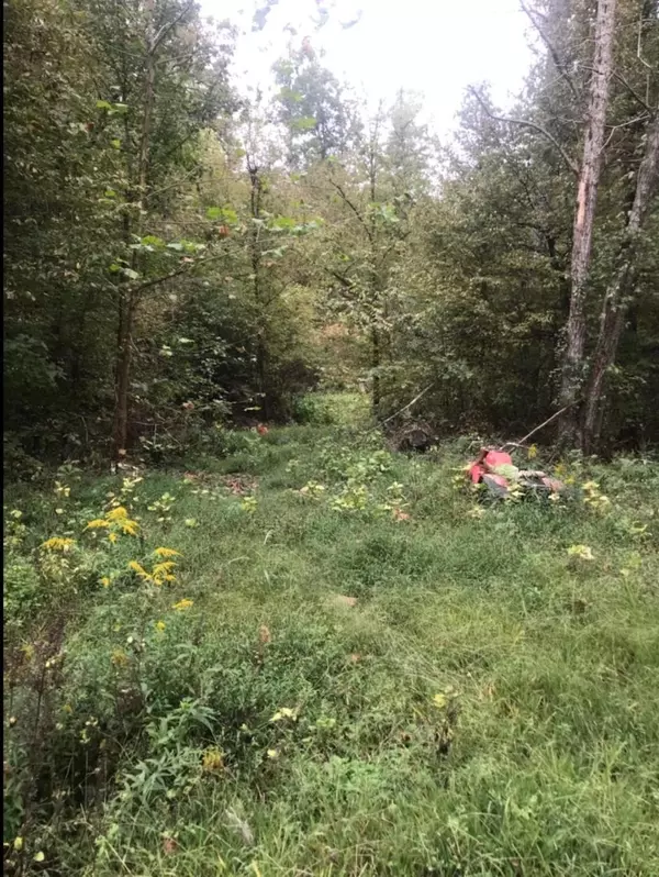 Lobelville, TN 37097,13988 Crooked Creek Rd
