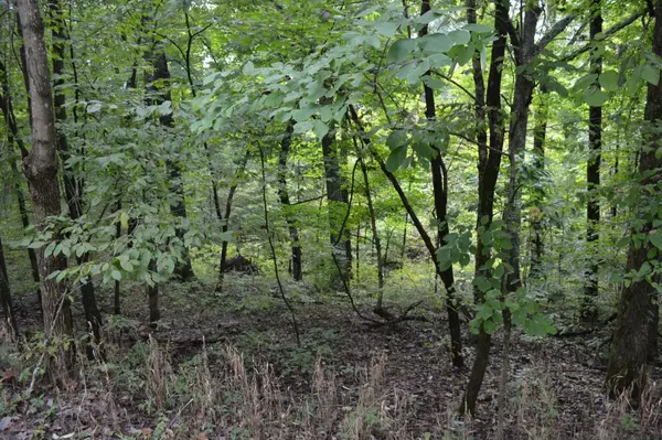 Gallatin, TN 37066,0 Pond Drive