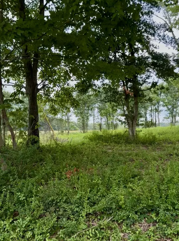 Rock Island, TN 38581,255 Shoals Rd