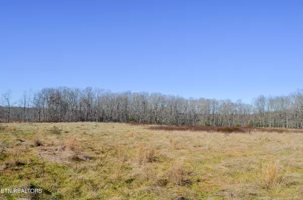 Crossville, TN 38555,0 Sparta Hwy 31.65 +/- Acres