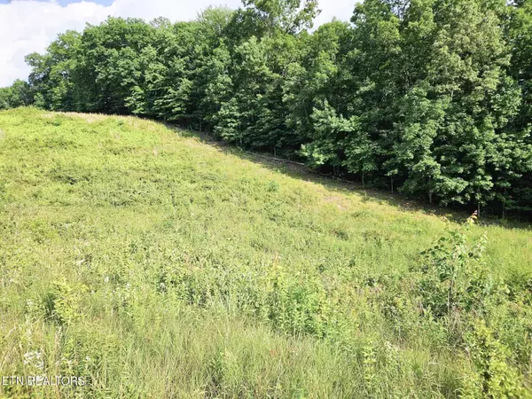 Monterey, TN 38574,0 Street Place Loop