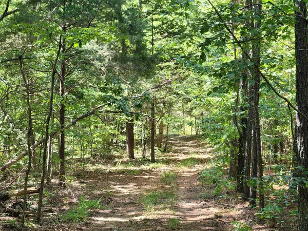 Charlotte, TN 37036,138 Vaughn Rd