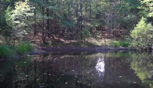 Charlotte, TN 37036,138 Vaughn Rd