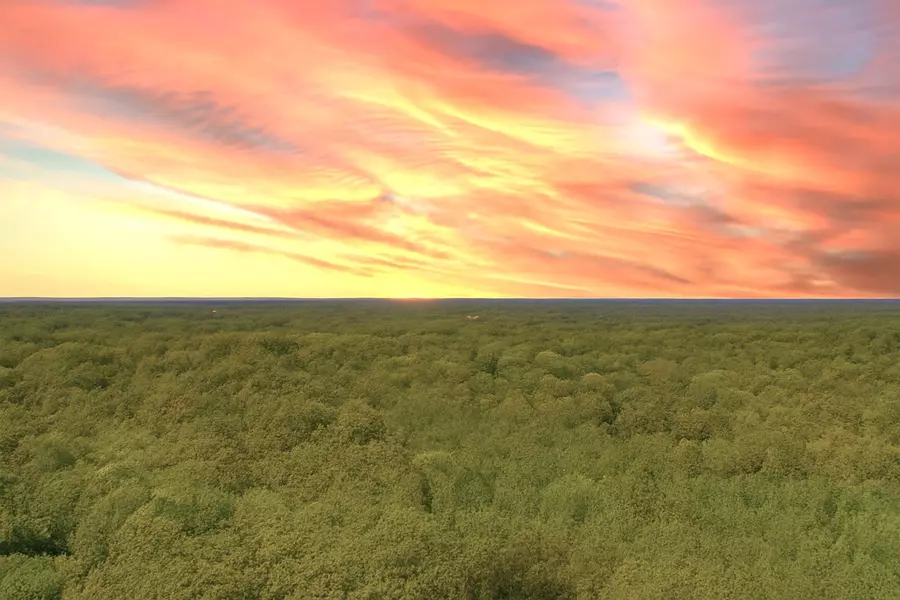 138 Vaughn Rd, Charlotte, TN 37036