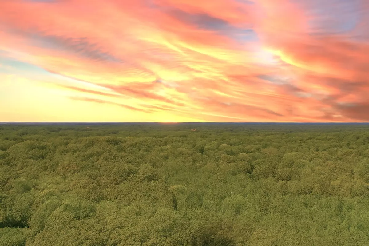 Charlotte, TN 37036,138 Vaughn Rd