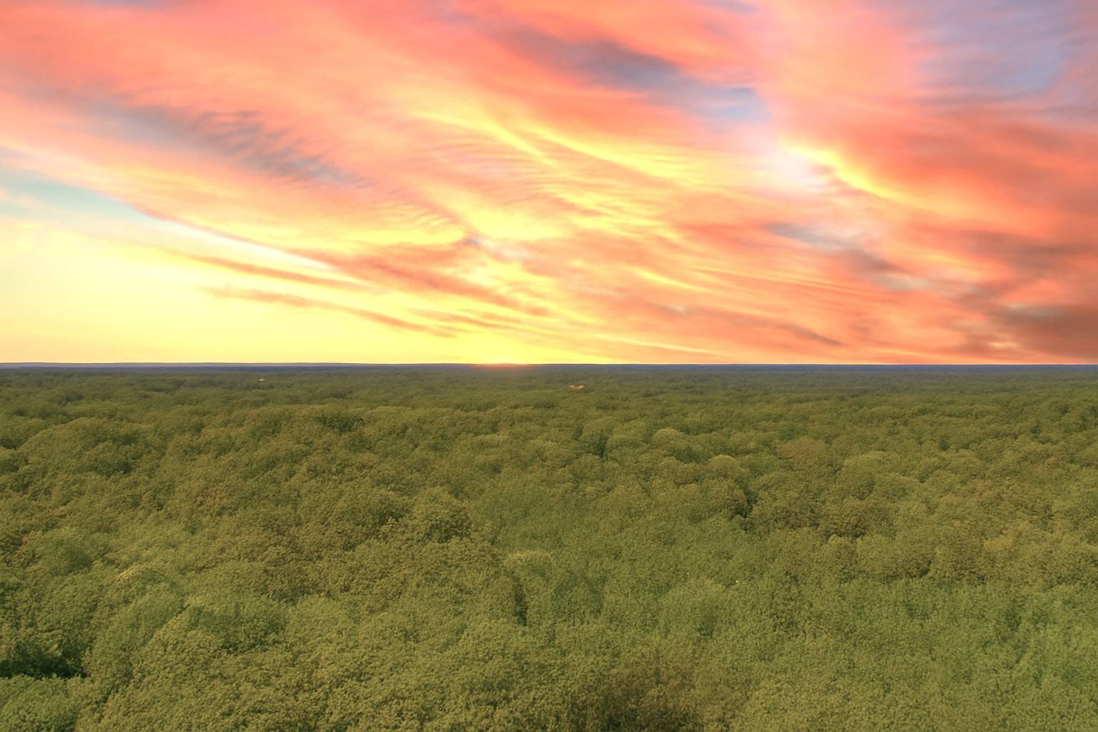 138 Vaughn Rd, Charlotte, TN 37036