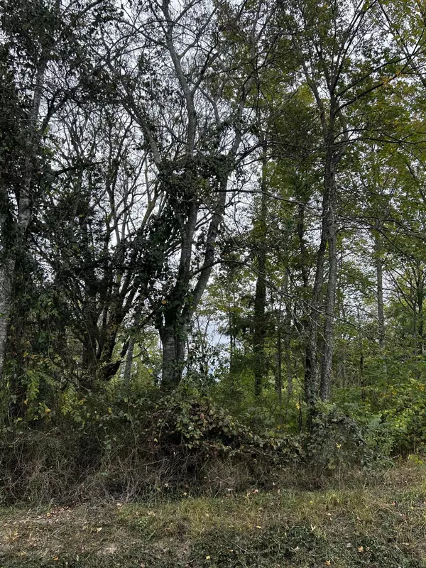 Ooltewah, TN 37363,4221 Pattentown Road