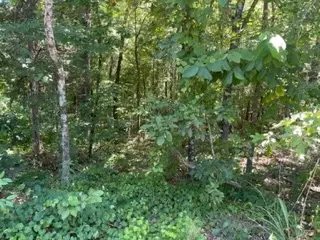 0 Mount Pinson, Jackson, TN 38301