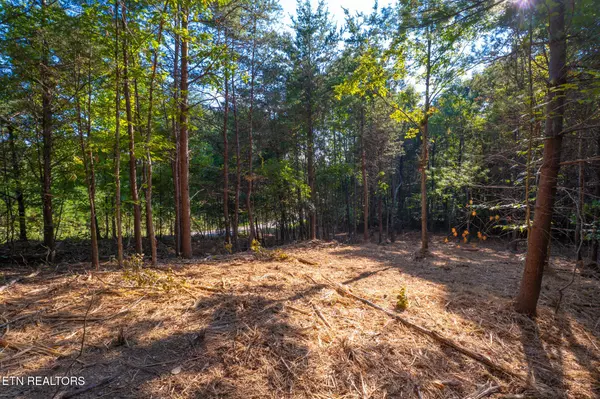 Loudon, TN 37774,320 Valley Drive