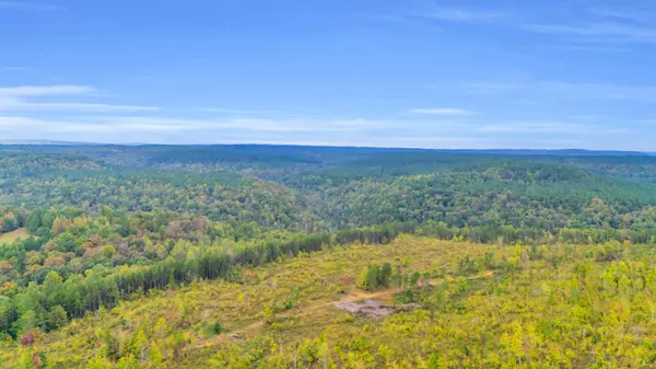 Soddy Daisy, TN 37379,30 Ac Worley Road