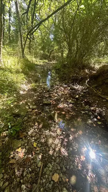 Brush Creek, TN 38547,0 Holmes Gap Rd