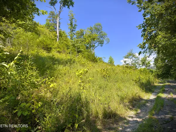 Hilham, TN 38568,7 Bald Eagle Lane