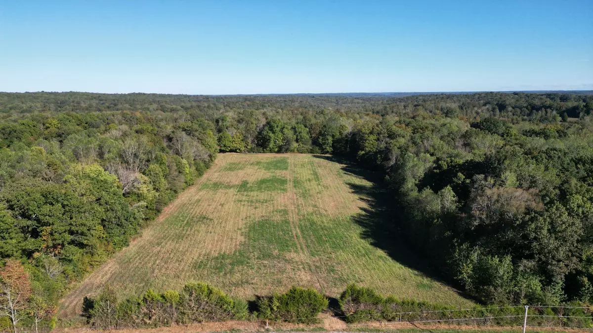 Indian Mound, TN 37079,10 Hayes Ridge Rd