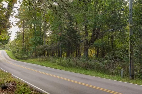 Lookout Mountain, GA 30750,0 Payne Chapel Road