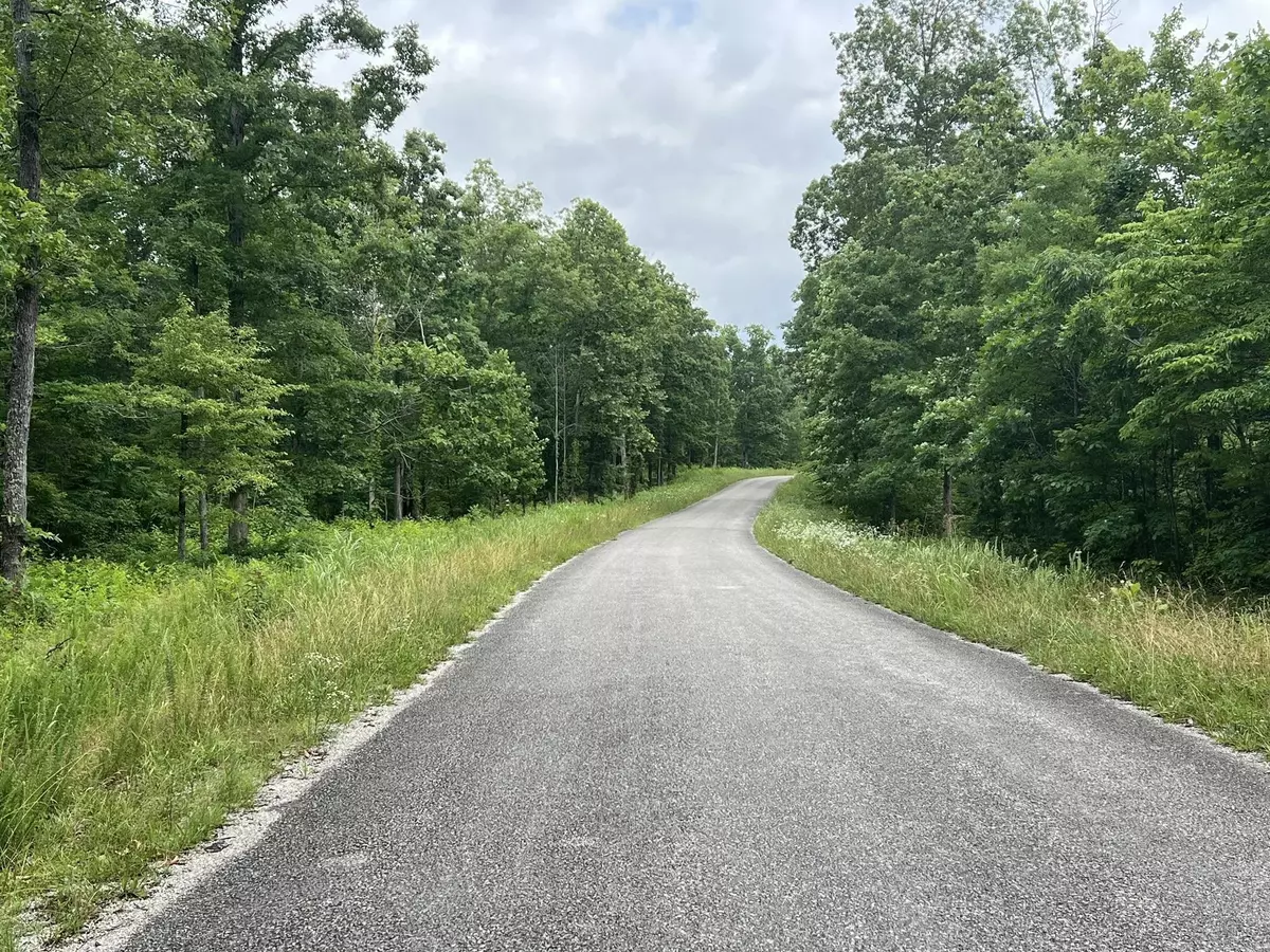 Primm Springs, TN 38476,0 Slaughter Rd