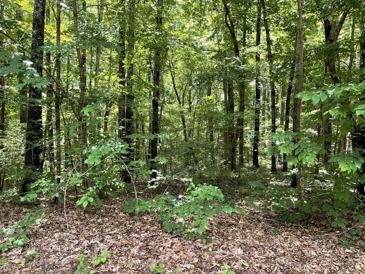 Mcminnville, TN 37110,0 Long Mountain Rd