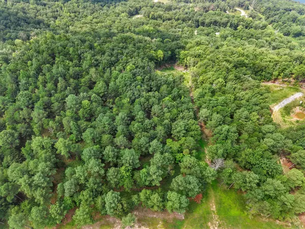 Guild, TN 37340,0 Buck Crossing Drive