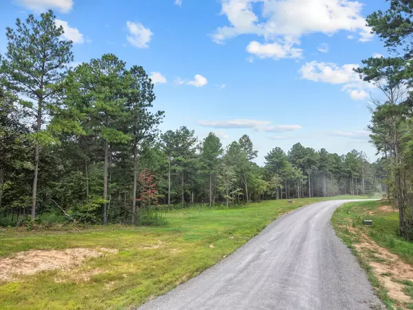 Guild, TN 37340,0 Buck Crossing Drive