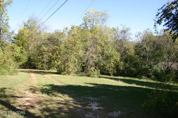 Knoxville, TN 37917,1303 Ezell St