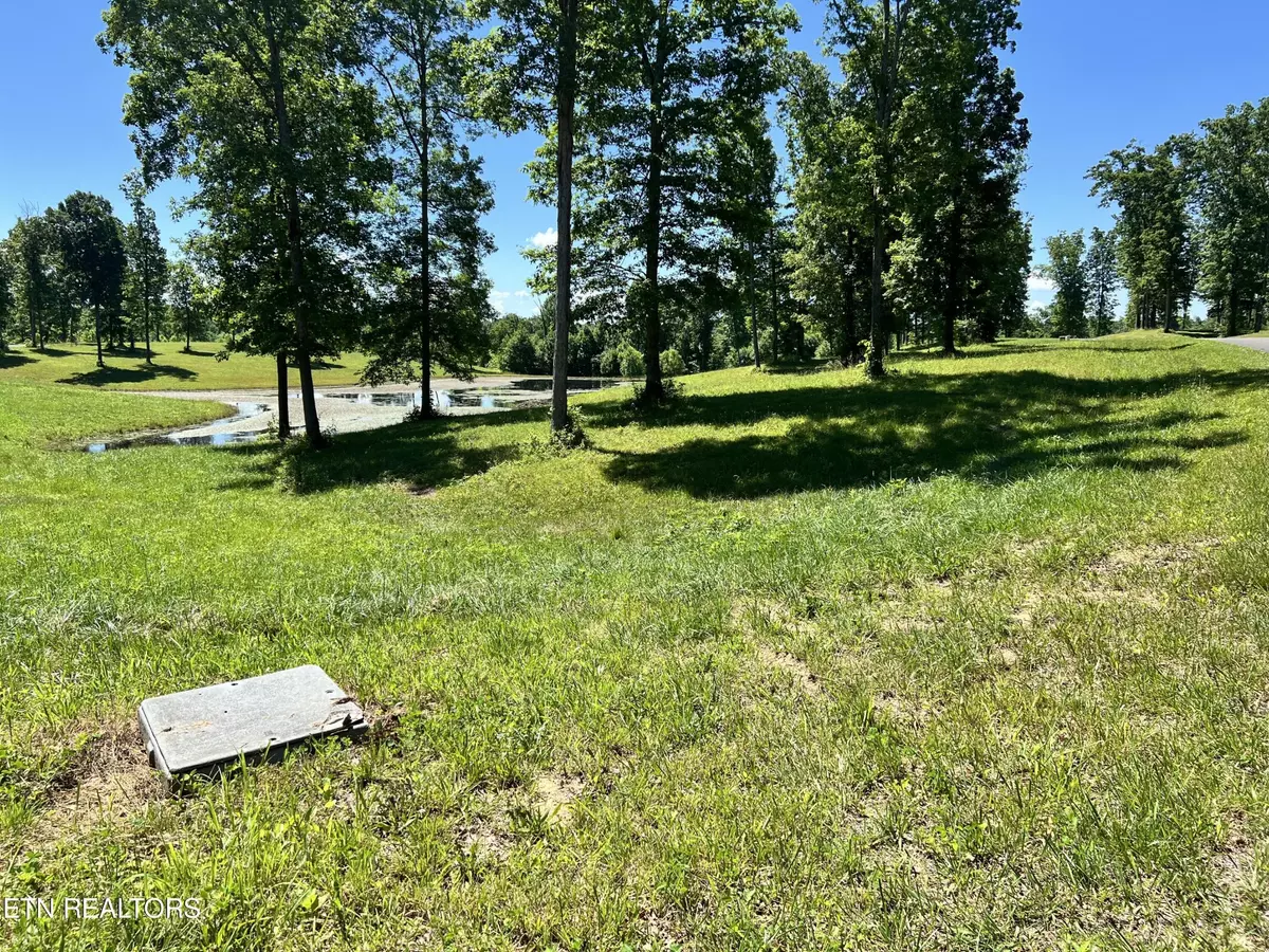 Crossville, TN 38571,0 Lot 22 Bluff View Loop